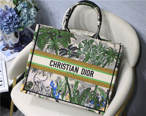 Dior Book Tote Bag