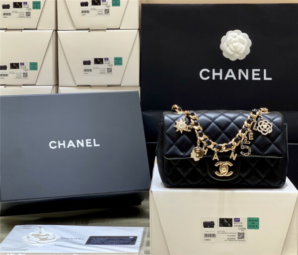 Chanel Coco Charms Bag