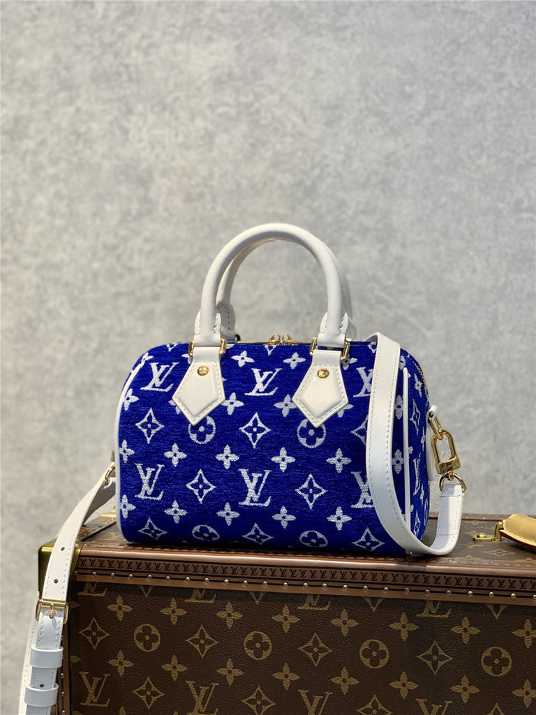 Louis Vuitton Speedy 20 Bag