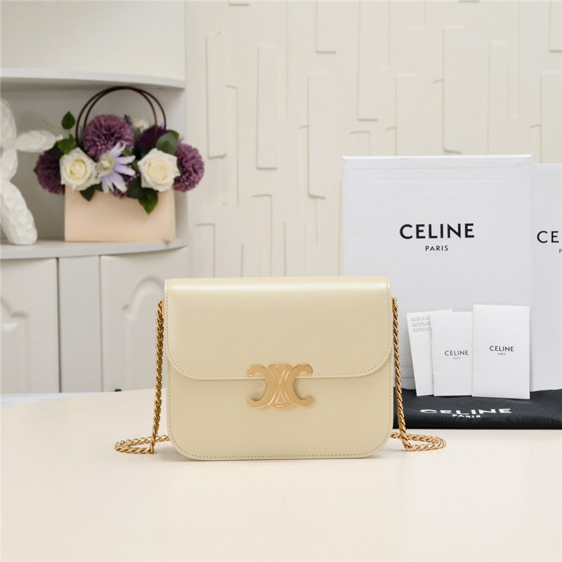 Celine College Triomphe Bag