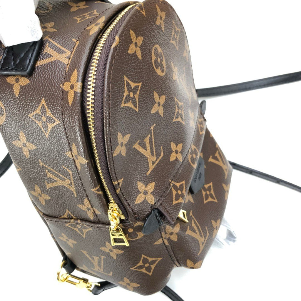 Louis Vuitton Mini Palm Springs Backpack